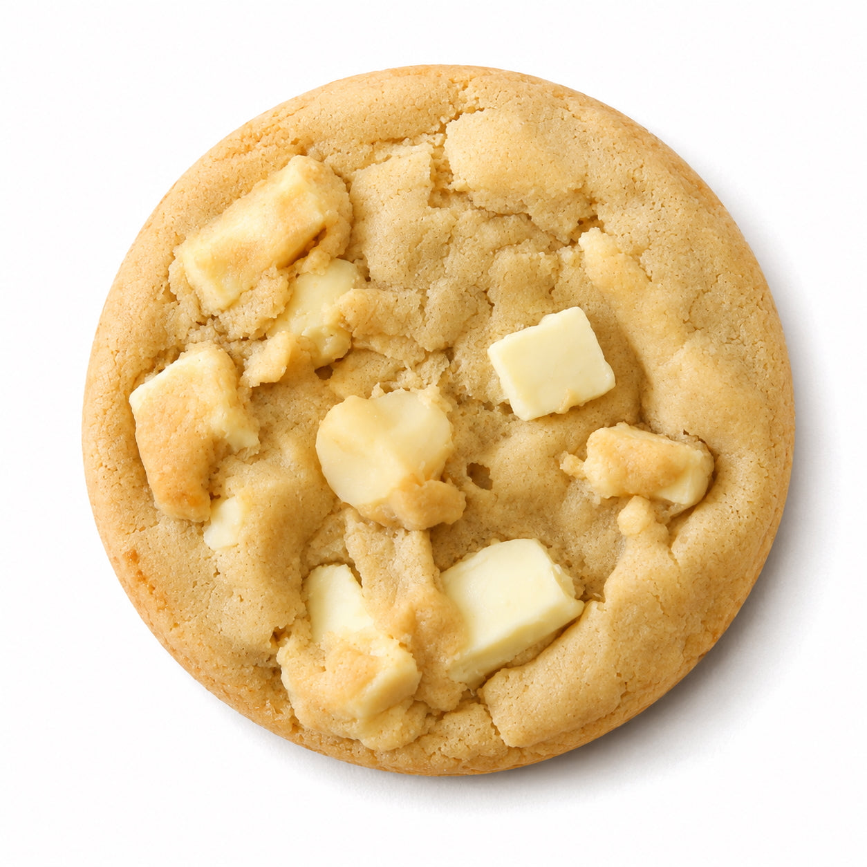 White Chocolate Macadamia