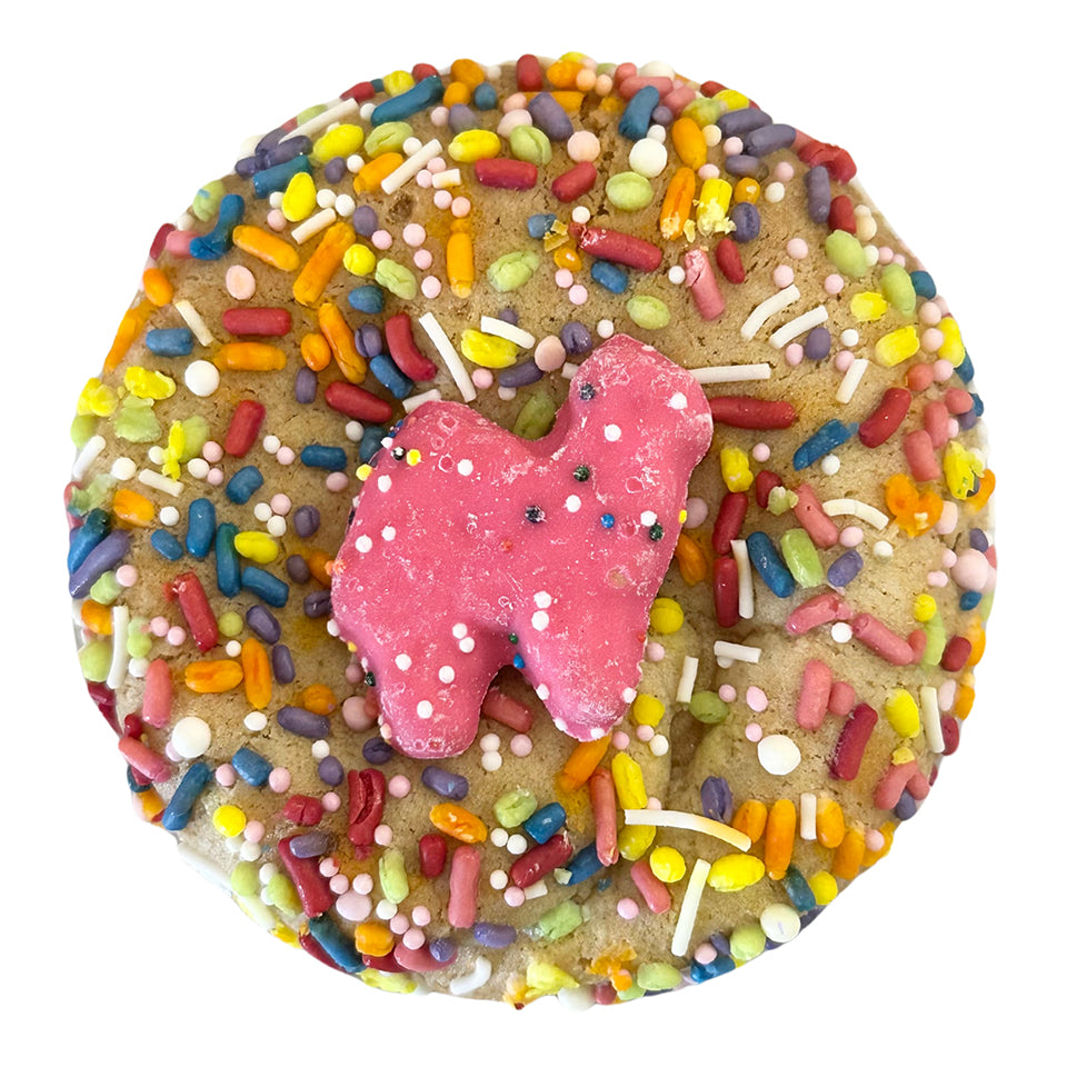 Funfetti - LOCAL PICK UP ONLY