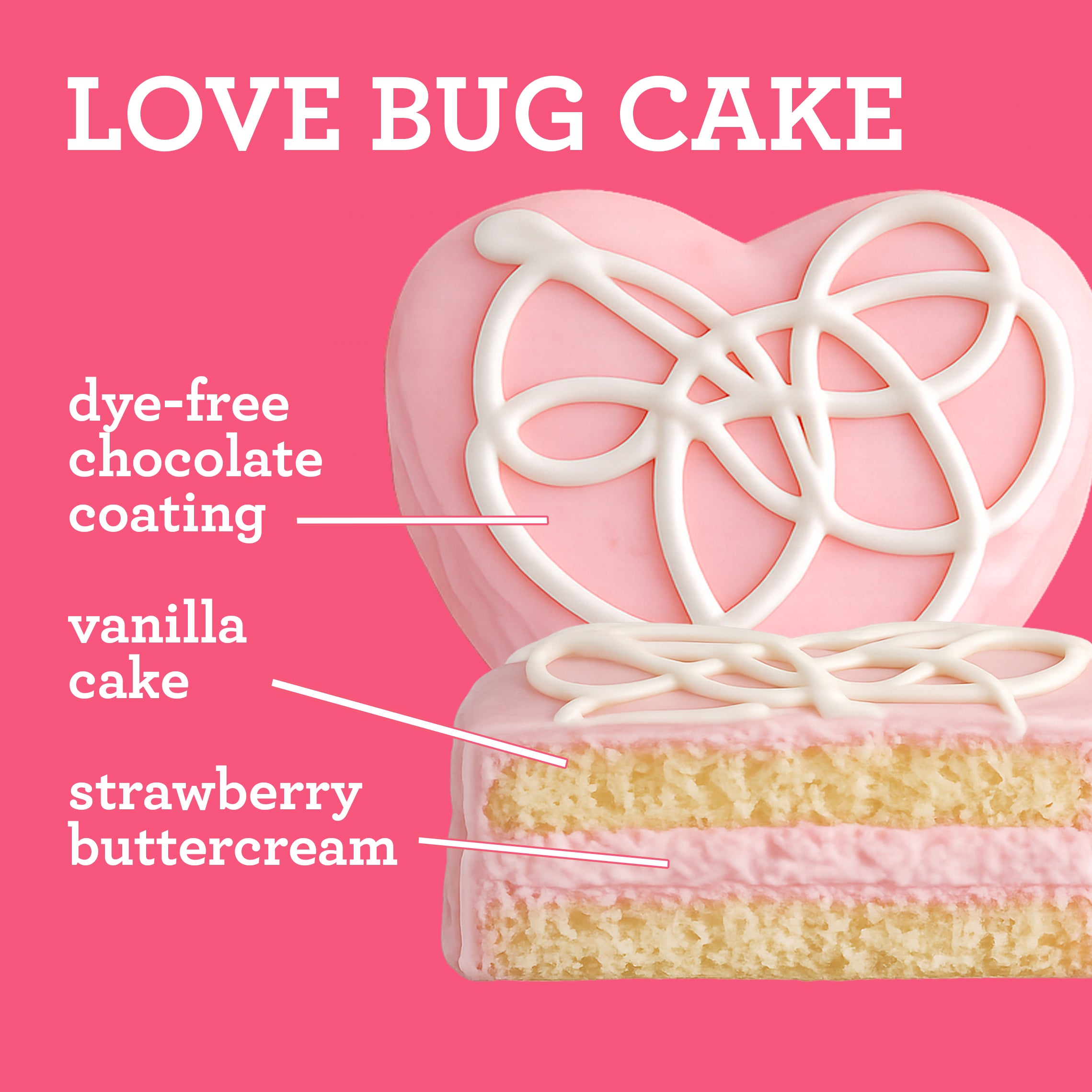 Love Bug Cake - LOCAL PICK UP ONLY